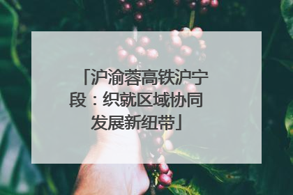 沪渝蓉高铁沪宁段：织就区域协同发展新纽带