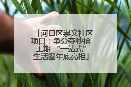 河口区崇文社区项目：争分夺秒抢工期 “一站式”生活圈年底亮相
