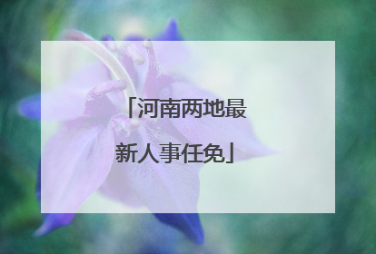 河南两地最新人事任免