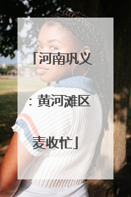 河南巩义：黄河滩区麦收忙