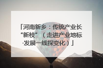 河南新乡：传统产业长“新枝”（走进产业地标·发展一线探变化）