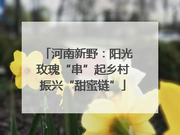 河南新野：阳光玫瑰“串”起乡村振兴“甜蜜链”