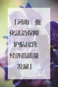 河南：强化法治保障 护航民营经济高质量发展