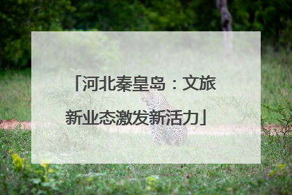 河北秦皇岛：文旅新业态激发新活力