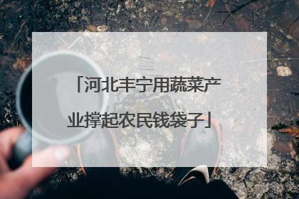 河北丰宁用蔬菜产业撑起农民钱袋子
