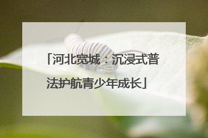 河北宽城：沉浸式普法护航青少年成长