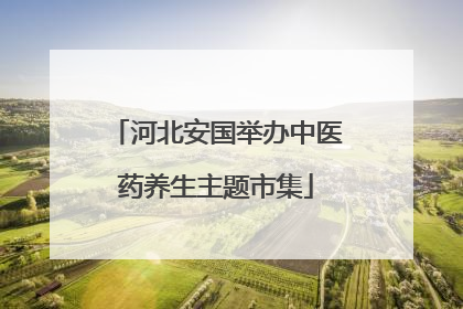 河北安国举办中医药养生主题市集