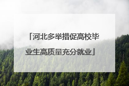 河北多举措促高校毕业生高质量充分就业