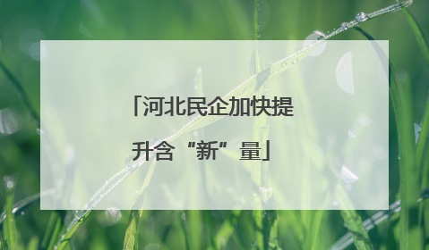 河北民企加快提升含“新”量