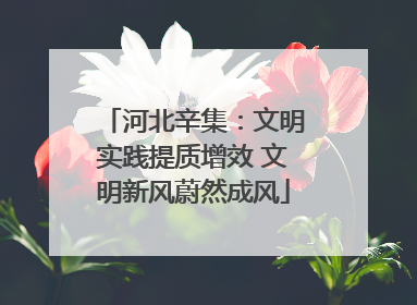 河北辛集：文明实践提质增效 文明新风蔚然成风