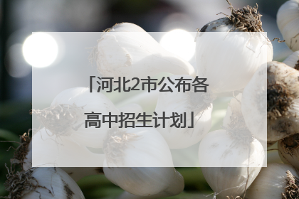 河北2市公布各高中招生计划