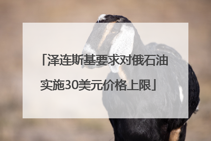 泽连斯基要求对俄石油实施30美元价格上限