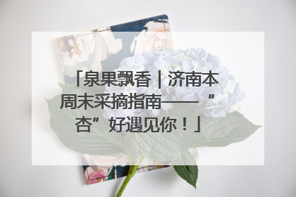 泉果飘香｜济南本周末采摘指南——“杏”好遇见你！