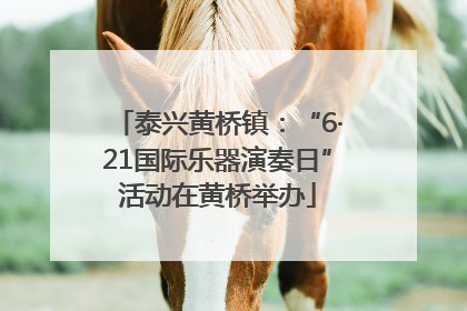 泰兴黄桥镇：“6·21国际乐器演奏日”活动在黄桥举办