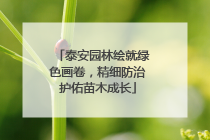 泰安园林绘就绿色画卷，精细防治护佑苗木成长
