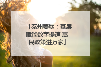 泰州姜堰：基层赋能数字提速 惠民政策进万家