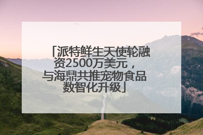 派特鲜生天使轮融资2500万美元，与海鼎共推宠物食品数智化升级