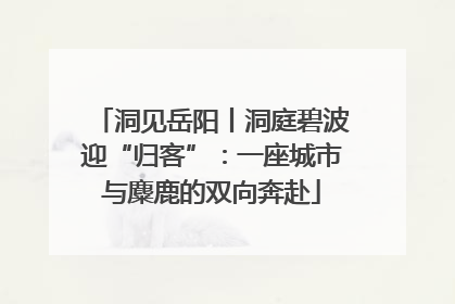 洞见岳阳丨洞庭碧波迎“归客”：一座城市与麋鹿的双向奔赴