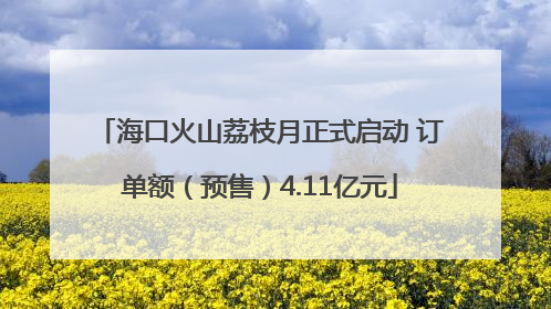 海口火山荔枝月正式启动 订单额（预售）4.11亿元