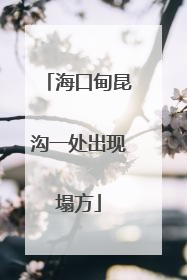 海口甸昆沟一处出现塌方