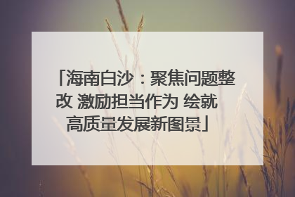 海南白沙：聚焦问题整改 激励担当作为 绘就高质量发展新图景