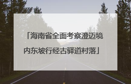 海南省全面考察澄迈境内东坡行经古驿道村落