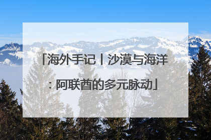 海外手记丨沙漠与海洋：阿联酋的多元脉动