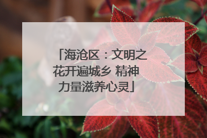 海沧区：文明之花开遍城乡 精神力量滋养心灵