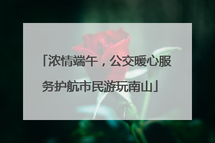 浓情端午，公交暖心服务护航市民游玩南山