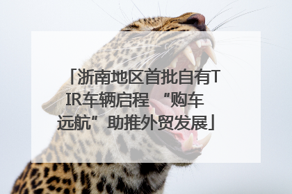 浙南地区首批自有TIR车辆启程 “购车远航”助推外贸发展