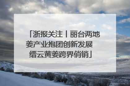 浙报关注丨丽台两地姜产业抱团创新发展 缙云黄姜跨界俏销