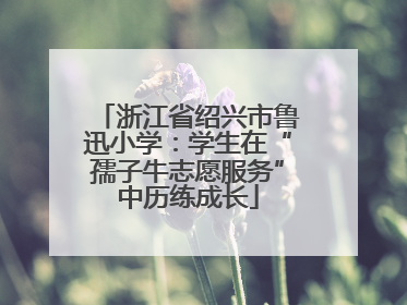 浙江省绍兴市鲁迅小学:学生在“孺子牛志愿服务”中历练成长