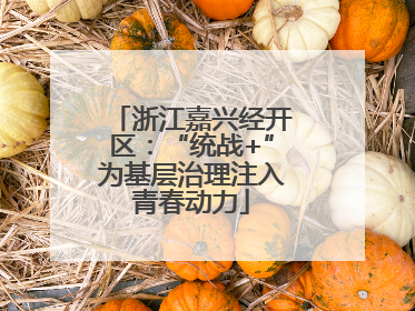 浙江嘉兴经开区：“统战+”为基层治理注入青春动力