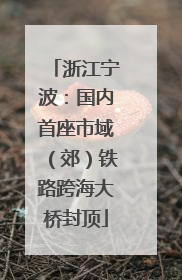 浙江宁波：国内首座市域（郊）铁路跨海大桥封顶