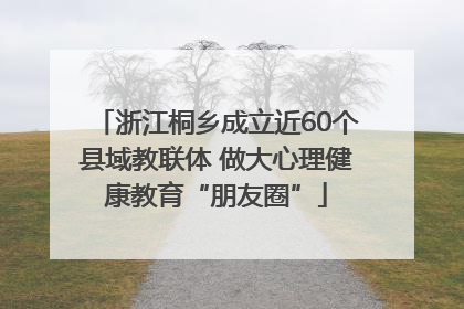 浙江桐乡成立近60个县域教联体 做大心理健康教育“朋友圈”