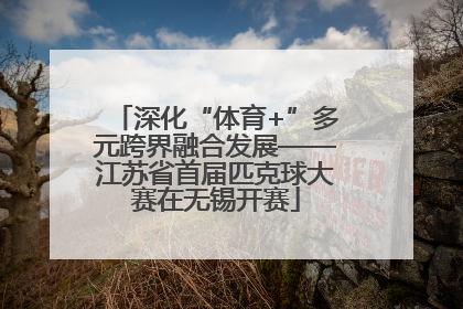 深化“体育+”多元跨界融合发展——江苏省首届匹克球大赛在无锡开赛