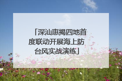 深汕惠揭四地首度联动开展海上防台风实战演练