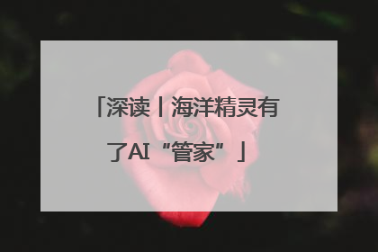 深读丨海洋精灵有了AI“管家”