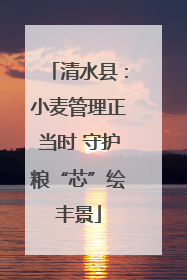 清水县：小麦管理正当时 守护粮“芯”绘丰景