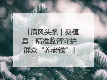 清风头条｜桑植县：精准监督守护群众“养老钱”
