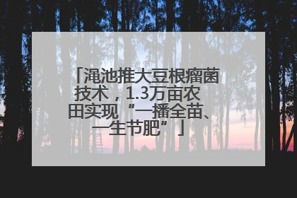 渑池推大豆根瘤菌技术，1.3万亩农田实现“一播全苗、一生节肥”