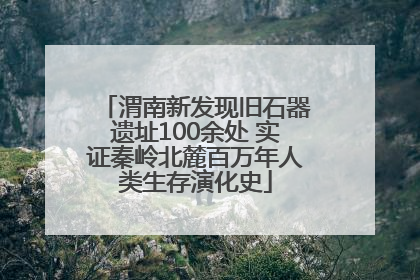 渭南新发现旧石器遗址100余处 实证秦岭北麓百万年人类生存演化史