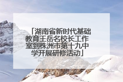 湖南省新时代基础教育王岳名校长工作室到株洲市第十九中学开展研修活动