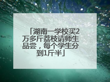 湖南一学校买2万多斤荔枝请师生品尝，每个学生分到1斤半