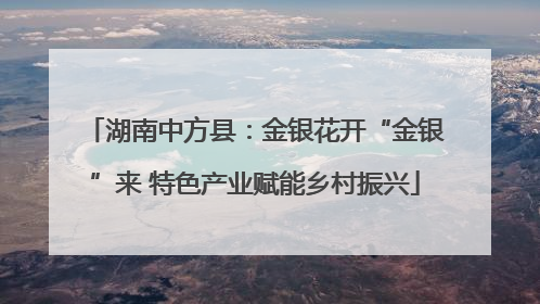 湖南中方县：金银花开“金银”来 特色产业赋能乡村振兴