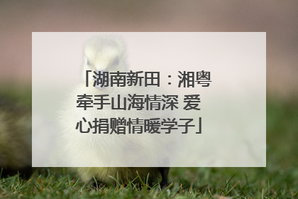 湖南新田：湘粤牵手山海情深 爱心捐赠情暖学子