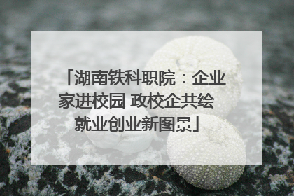 湖南铁科职院：企业家进校园 政校企共绘就业创业新图景