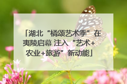 湖北“橘颂艺术季”在夷陵启幕 注入“艺术+农业+旅游”新动能