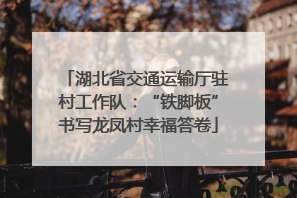 湖北省交通运输厅驻村工作队：“铁脚板”书写龙凤村幸福答卷