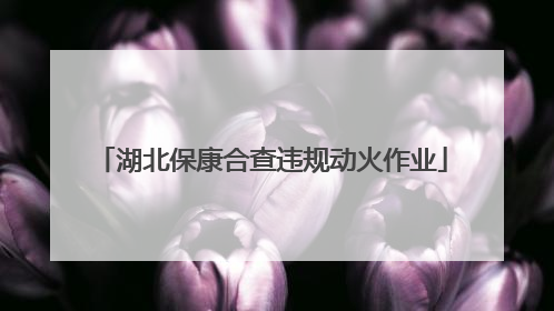 湖北保康合查违规动火作业